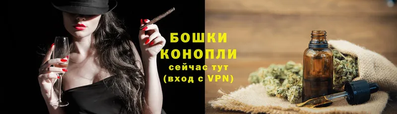 Конопля план  Невинномысск 